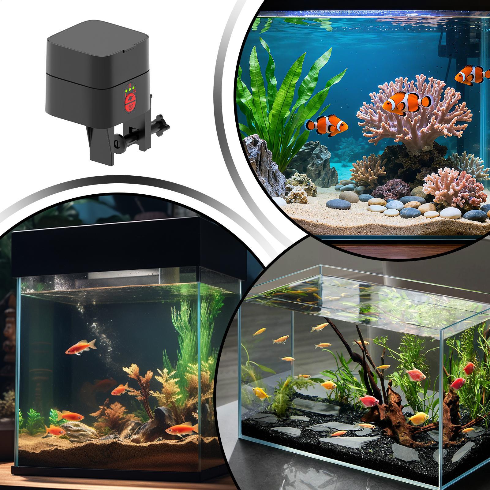 Distributeur automatique de no - Fishing Line Dispenser avis et prix